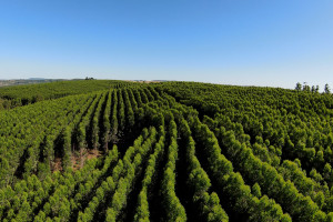 ALTO 360.00_02_47_05.Quadro001_29fe382eb20703b34eacfa9d1eecefb5245fcf37.jpg